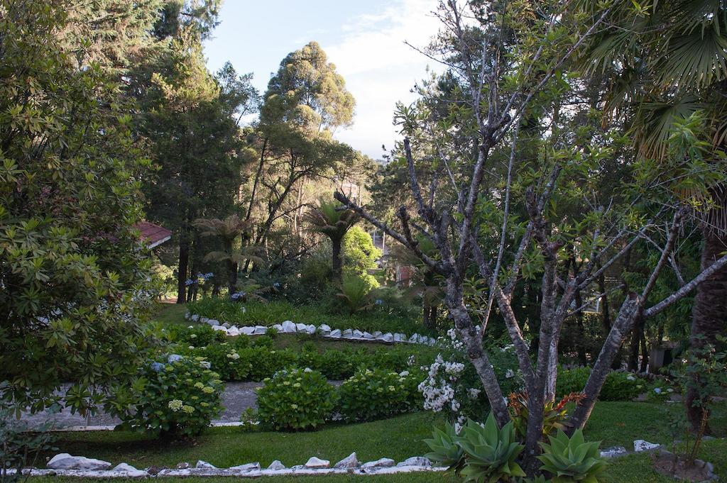 Hotel Vila Regina Campos do Jordão Εξωτερικό φωτογραφία