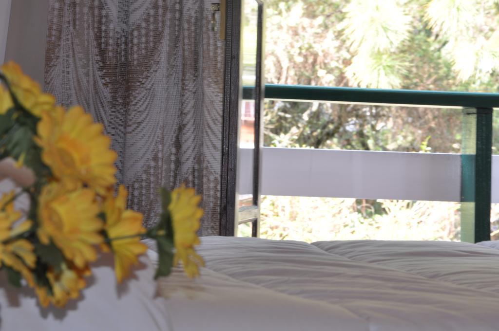 Hotel Vila Regina Campos do Jordão Εξωτερικό φωτογραφία